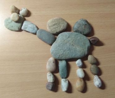 56.jpg