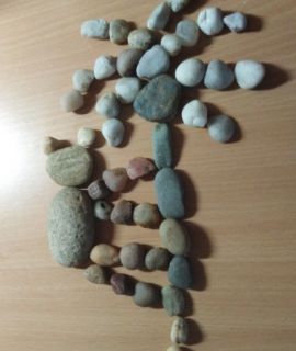 57.jpg