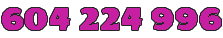 Primary Raster logo